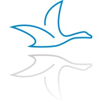 Change Instinct logo - Similar company to Visionsalive - Unternehmensberatung Für Zukunftssicherung Im Mittelstand