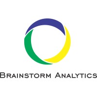 Brainstorm Analytics logo - Similar company to Wjr Consulting