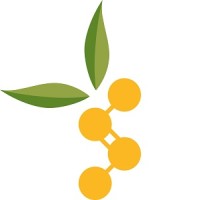 De Monchy Aromatics logo - Similar company to Absolute Aromas Ltd