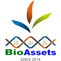 BioAssets Corporation logo - Similar company to Pixel8 Llc