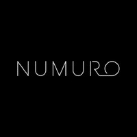 Numuro Ventures logo - Similar company to Payhouse Technologies