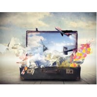 Sunny Smiles Travel logo - Similar company to Pet Connex