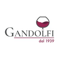 Gandolfi Bolzano logo - Similar company to Energytech_Ingenieureingegneri