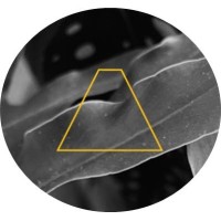 Agência Estufa logo - Similar company to Garagem Espm