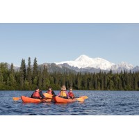 Denali Southside River Guides logo - Similar company to Sandoval County Fire Dept