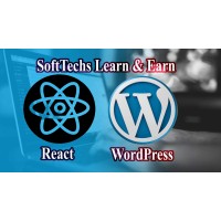 SoftTechs Learn & Earn logo - Similar company to 360 Digi Academy