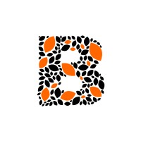 Bharat Interior logo - Similar company to Reflection Interior World
