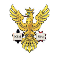 ICSM SBAs logo - Similar company to Precisionmed
