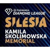 Diamentowa Liga w Polsce logo - Similar company to Cmsi Sp. Z O.O.