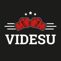 Videsu logo - Similar company to Authentic Boxing