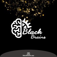 Black Brains logo - Similar company to Paramount Solar Limited