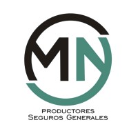 MN Seguros Generales logo - Similar company to Alem Broker De Seguros