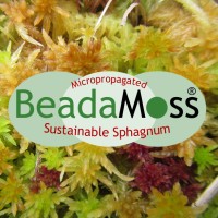 BeadaMoss logo - Similar company to Climate Dice