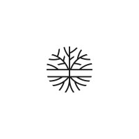 Makor Partners logo - Similar company to Saisei