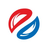Dinsol India Agency logo - Similar company to Trishulx