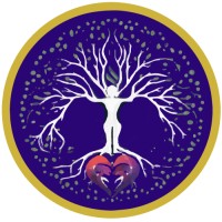 Reimagine Health Pllc