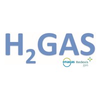 Hydrogen to gas - H2Gas logo - Similar company to Hydrogen Solutions
