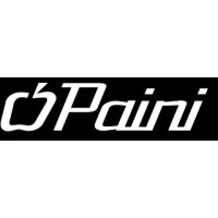 PAINI (UK) LIMITED logo - Similar company to Emmersonwills Iso Consultants