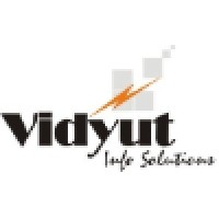 Vidyut Info Solutions Private Limited logo - Similar company to Zecure