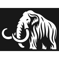 Mammoth Software Consultants logo - Similar company to Prokope