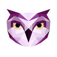 Owlnext logo - Similar company to Lagertha.Tech