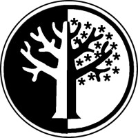 Collaborative Solutions Inc