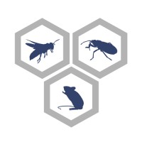 Preventa Schädlingsbekämpfung logo - Similar company to Schädlingsbekämpfung Direkt