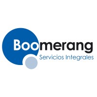 Boomerang - Servicios de consultoría a empresas logo - Similar company to Erre Soluciones