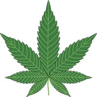 Cascadia Hemp Farms logo - Similar company to Cannabis Bob