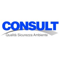 Consult Italia srl logo - Similar company to Emmess Srl Executive Consulting
