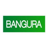 Bangura Solutions logo - Similar company to Techabby.Io
