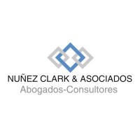 Núñez Clark & Asociados logo - Similar company to Zami