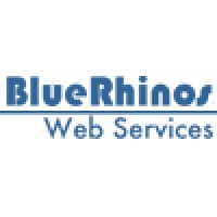 Blue Rhinos Consulting