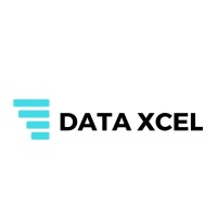 Data Xcel logo - Similar company to Data Domain