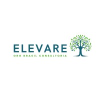 ELEVARE ORG BRASIL CONSULTORIA logo - Similar company to Aptaxr