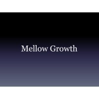 Mellow Growth logo - Similar company to Future Navigators