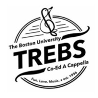 The BU Treblemakers logo - Similar company to Tuik Security Group