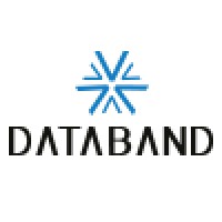 Datasul Bandeirantes logo - Similar company to Nexthra
