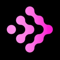 Digital Innovations Group logo - Similar company to Inforizon Tech