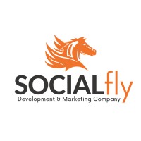 Socialfly - Website, App Development & Digital Marketing company logo - Similar company to Easyble Digital Pvt Ltd  -  Value Driven Digital Marketing Company