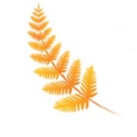Brackenway Consulting logo - Similar company to Lean Construction Advisory