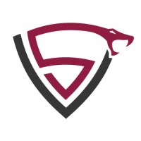 Viper Search logo - Similar company to Onexte