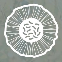 Liquen Austral Biotecnología - LAB logo - Similar company to Liquen Austral