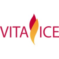 Vita Ice logo - Similar company to Drink N'Joy