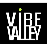 Vibe Valley Marketing logo - Similar company to Plan C Ict Sdn Bhd