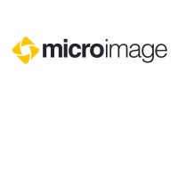 Micro Image logo - Similar company to Digital Transitions