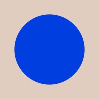 Rachel Gogel LLC logo - Similar company to Stellar Work