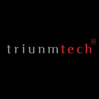 Triunm Technologies logo - Similar company to Deepdata