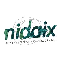 NIDAIX logo - Similar company to Abn Link