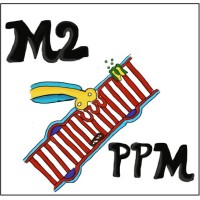Master 2 Physiologie et Pathologies Musculaires logo - Similar company to Physiologie Moléculaire Et Adaptation (Phyma) - Umr 7221 Mnhn - Cnrs